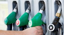 Výrobcovia biopalív bránia benzín 95 E10: Neohrozuje autá
