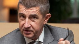 O dovolaní Andreja Babiša v spore s ÚPN sa môže rozhodnúť až za mesiace