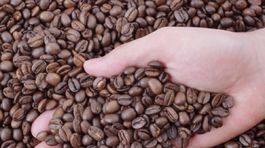 Prečo neprekračovať dávky energetických nápojov