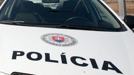 Ženu obvinili z krádeže obrazu z trenčianského múzea