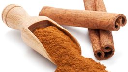 Škorica. Zahreje a posilní celý organizmus