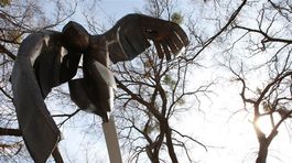 Rodina študenta Tupého čaká osem rokov na spravodlivosť