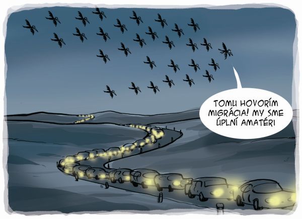 Karikatúra 03.11.2012