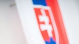 Tichý zrušil Trnkov súhlas s prevodom, škoda však podľa neho nevznikla