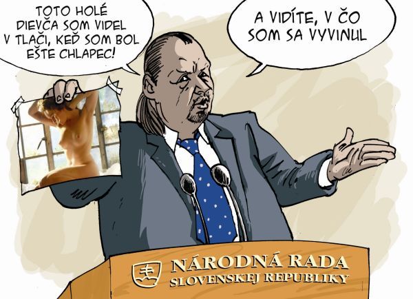 Karikatúra 28.11.2012