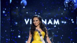 Miss Vietnam Diem Huong Luu