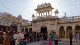 Karni Mata, hinduistický chrám, v ktorom vládnu krysy