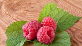 V Británii majú prvého robota na zber malín na svete