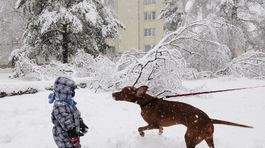 SR Prešov sneh situácia stromy