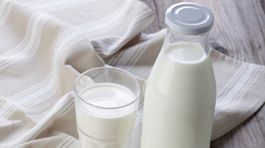 Vláda prilákala najväčšiu investíciu na zelenej lúke do potravinárstva