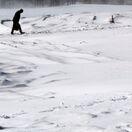 Snehová búrka Nemo