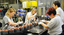 Embraco Slovakia pozastavuje svoju výrobu na desať dní