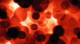 Toto je moja krv: Najčastejšie typy sú "áčkar" a "nulkár"?