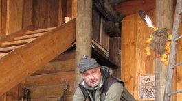 Noční lovci miznú, ochranári sa pokúsia o ich návrat