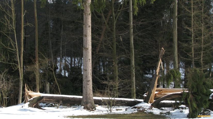 Betliar, park, víchrica