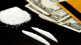 Kolumbia prekonala rekord v ničení ilegálnych plantáží koky