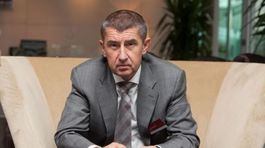 Nemecko vníma zmenu správania sa českých voličov, AfD Babišovi pogratulovala