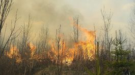 Lesný požiar pod Smokovcami vo Vysokých Tatrách.