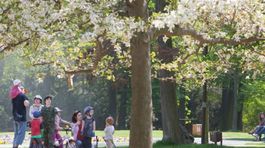 Najzelenším mestom pre turistov je Reykjavík, Bratislava je na úžasnom 3. mieste