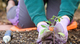 Kto na jar nezaseje, v lete úrodu nenájde