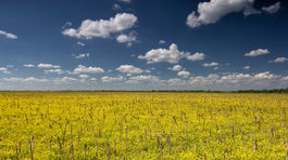 Na vyvlastnenie bude treba splniť štyri podmienky