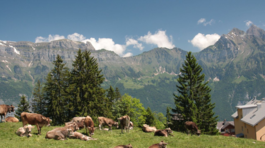 Švajčiarsko už nie je najbohatšou krajinou sveta, predbehli ho USA