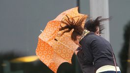 V dôsledku silného vetra ostali v Česku bez elektriny desaťtisíce domácností