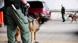 Šéfa mexického palivového gangu zavraždili počas operácie