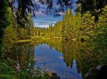 Vrbické pleso