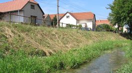 V Turnianskom potoku zahynuli tisícky rýb