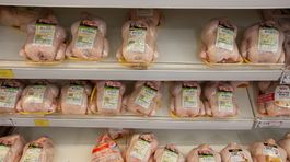 Hydinári kráčajú od desiatich k piatim