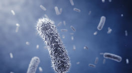 Vedci zdokonalili staré antibiotikum, zaberá aj na rezistentné baktérie