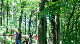 Nie je kobyla ako Kobyla. Tá Devínska otvorila edukačný areál