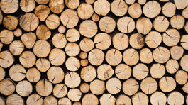 O kotol na biomasu nemali domácnosti veľký záujem