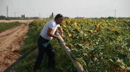 V zápase o úrodu nepozná oddych