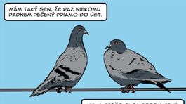 Gašparec, 12.8.2013