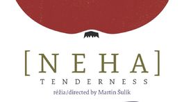 Šulíkova Neha vychádza na dévedéčku