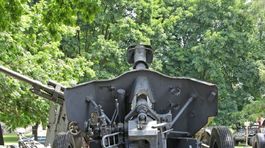 SNP – kontroverzná téma?