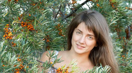 Rakytník je citrónovníkom severu