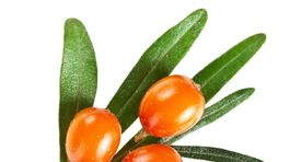 Rakytník, špenát či orechy! Čo dokážu s pleťou?