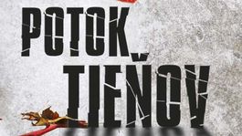 Joy Fieldingová - Potok tieňov. V lesoch sa ukrýva dvojica šialených vrahov