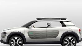 Citroën Cactus Concept.