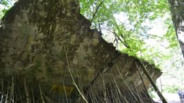 Výpoveď zmluvy na prenájom Hitlerovho bunkra je právoplatná