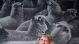 Cenu Anasoft litera získala zdanlivo obyčajná kniha Víťa Staviarskeho