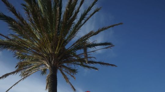 Speváčka Zdenka Predná na Malorke. Vďaka sexi...