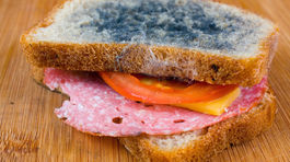 Zúfalstvo rodičov – plesnivá desiata v aktovke