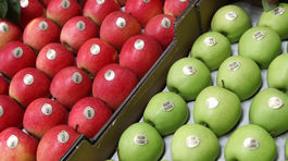 Ovocinári zatiaľ aprílové mrazy zvládajú