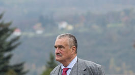 Šéf TOP 09 Karel Schwarzenberg na otázku, ako...