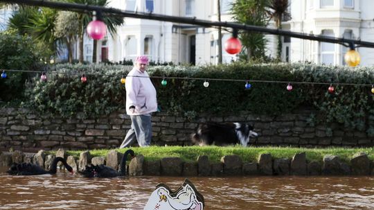 Obyvateľka mestečka Dawlish v južnej časti...