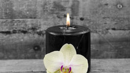 Zomrel hudobný skladateľ Jim Steinman